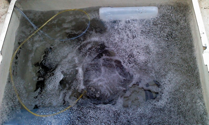 2011-09-17 17[1].28.57.jpg