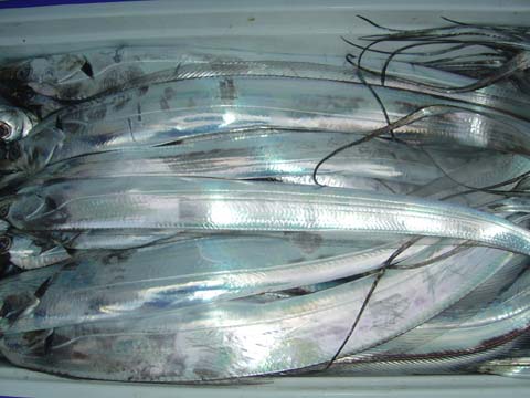 631487001218427303.jpg 631487001218427303.jpg