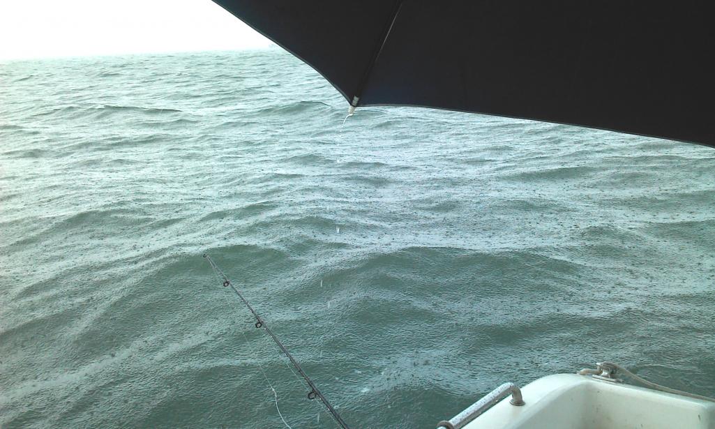 2011-07-29 08.55.49.jpg