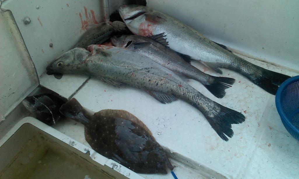 2011-07-29 12.04.06.jpg