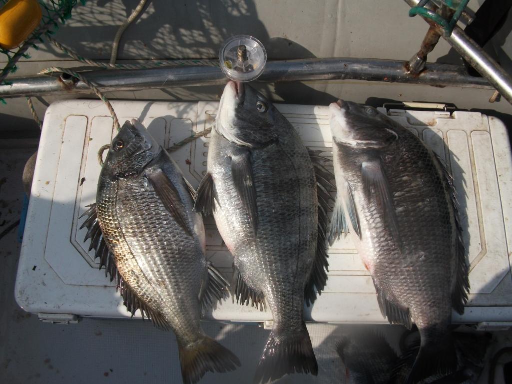 사본 - 생일도 014.jpg