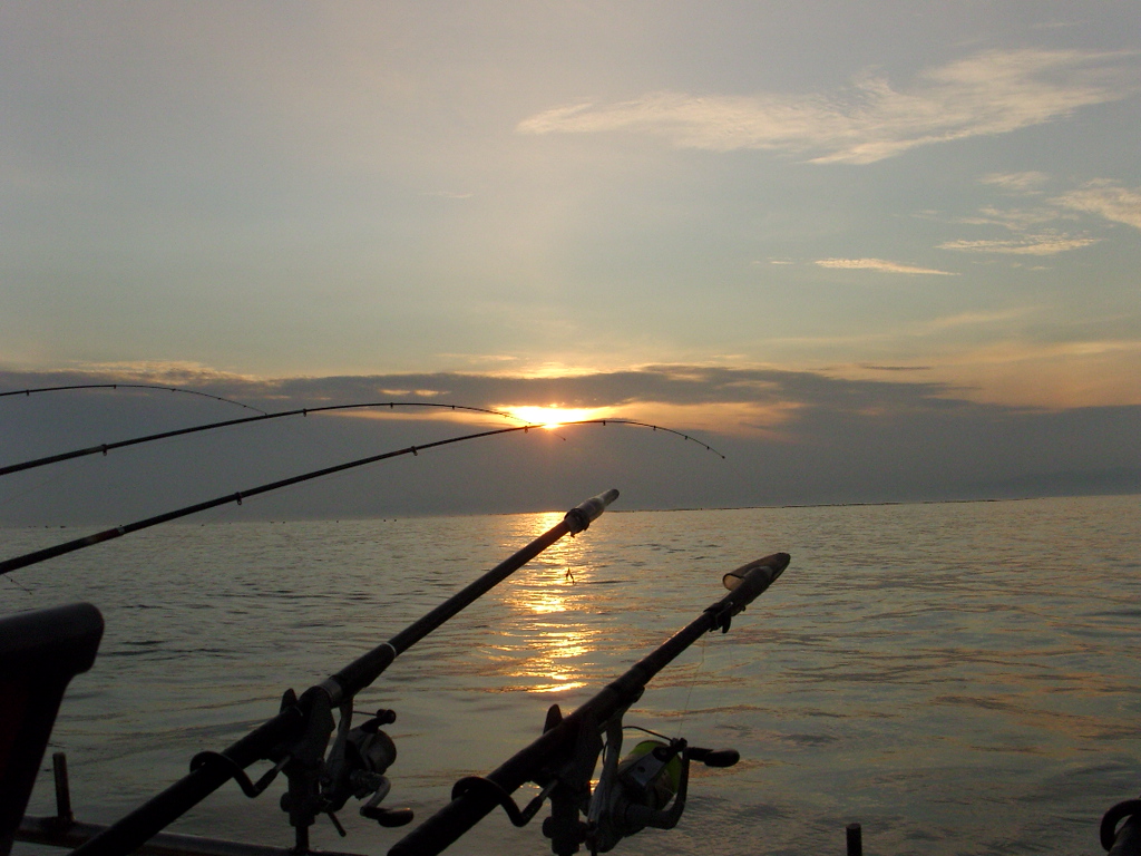 해남두륜산 008.JPG