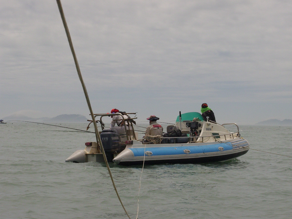 해남두륜산 001.JPG