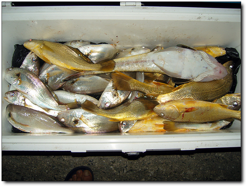 SNV80800.jpg SNV80800.jpg