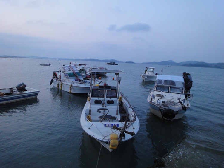 사진 1138.jpg 사진 1138.jpg