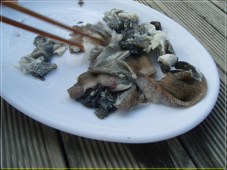 SNV80770.jpg SNV80770.jpg