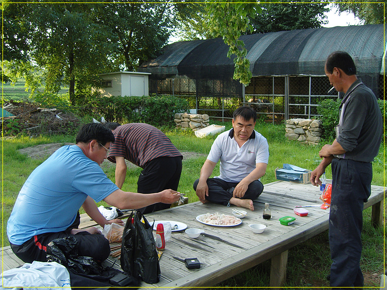 SNV80771.jpg SNV80771.jpg