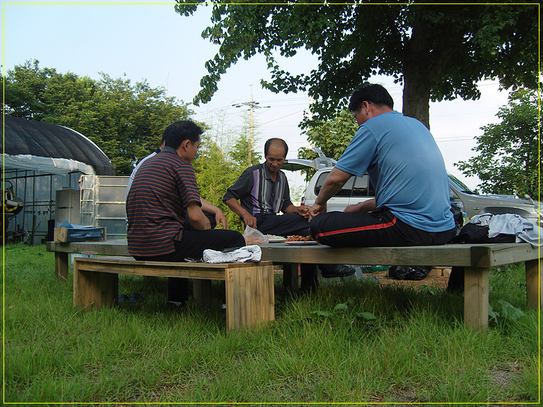 SNV80772.jpg SNV80772.jpg