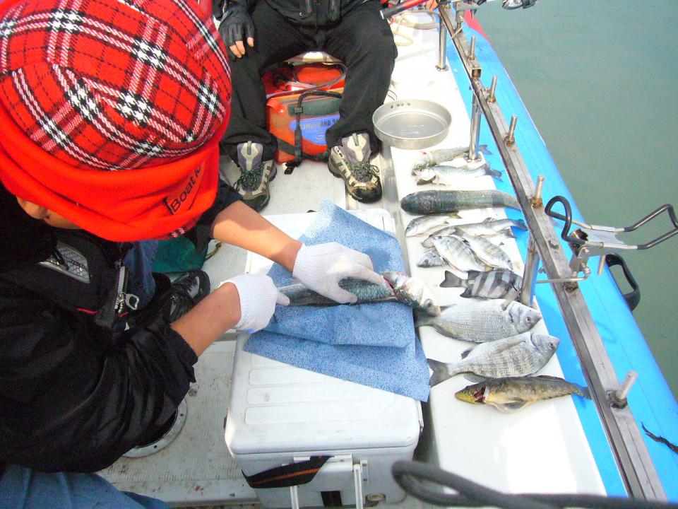 P1050038.JPG P1050038.JPG