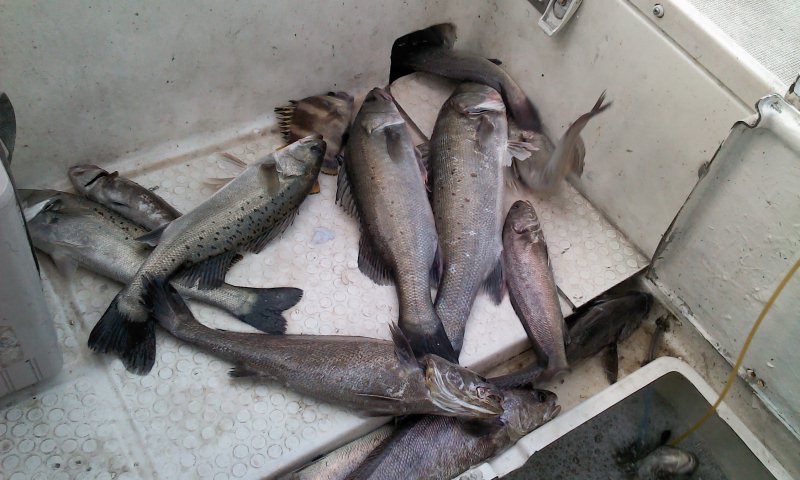 2011-09-17 17[1].33.04.jpg