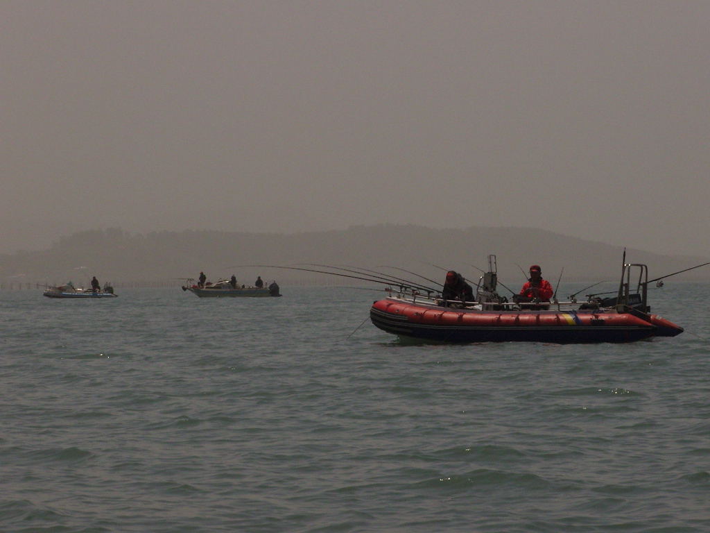 SNB20015.JPG : 무안  출조