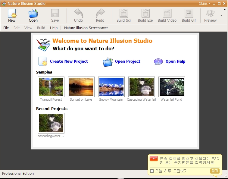 Nature Illusion studio.jpg